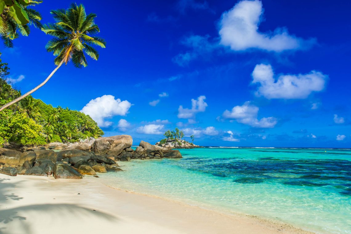 playa con palmera a la izquierda en dia soleado, vacía y con naturaleza en los costados
