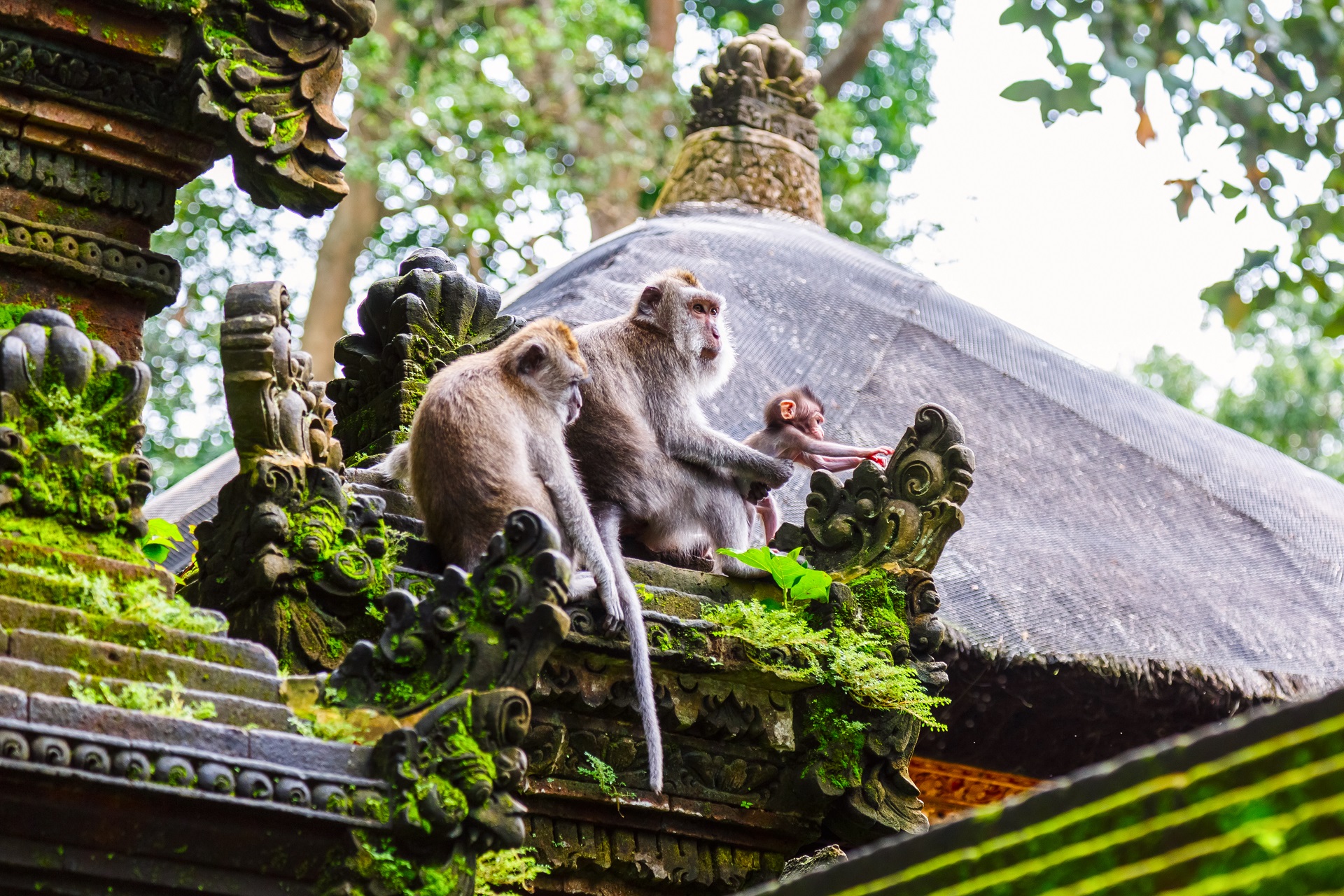 Qué ver en Bali